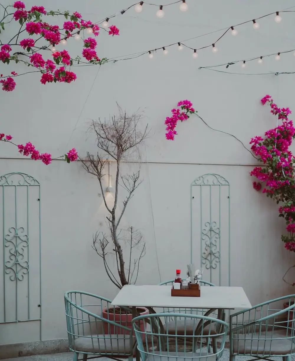 Bougainvillea over the courtyard tables at Café Auberge, Jaipur